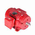 Marathon 60 Hp Fire Pump Motor, 3 Phase, 3600 Rpm, 230/460 V, 326Ts Frame, Odp U516A